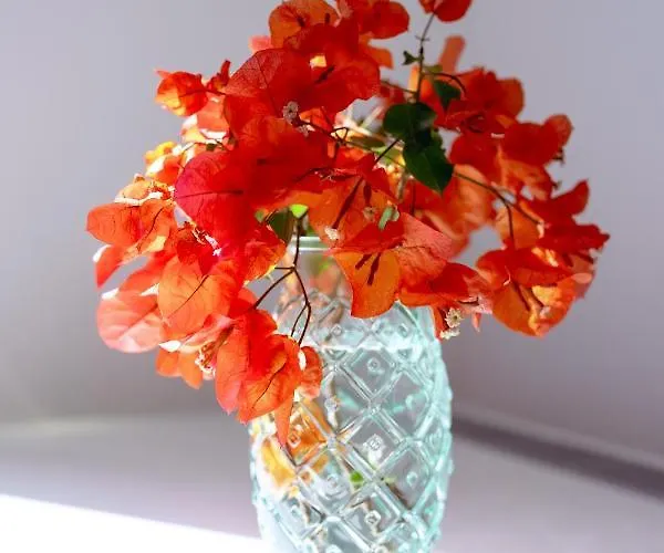 Gasthof Casa Giovanni Da 3*