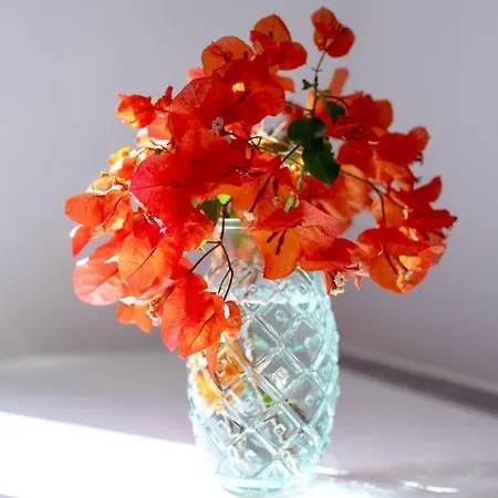 Affittacamere Casa Giovanni Da 3*